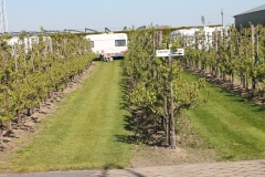 voorjaar-2012-3